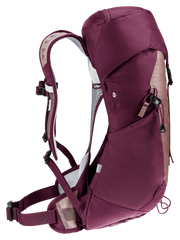 Ashrose Cassis