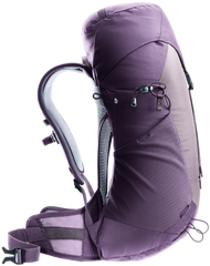 Lavender Purple