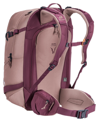 Ashrose Cassis