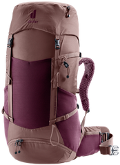 Cassis Ashrose