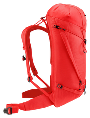 Poppy Crimson