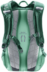Seagreen Spearmint