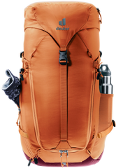 Chestnut Maron