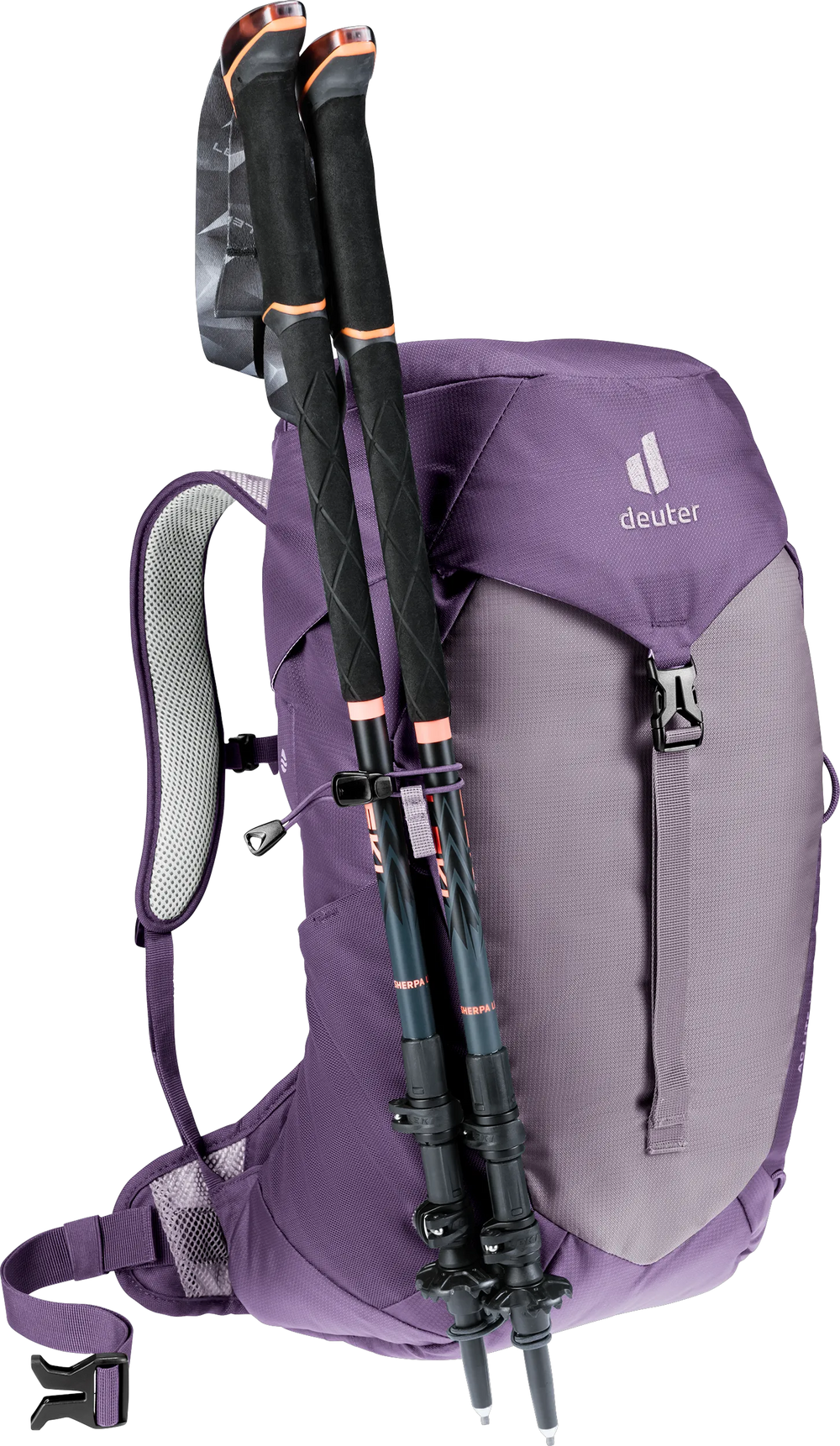 Lavender Purple