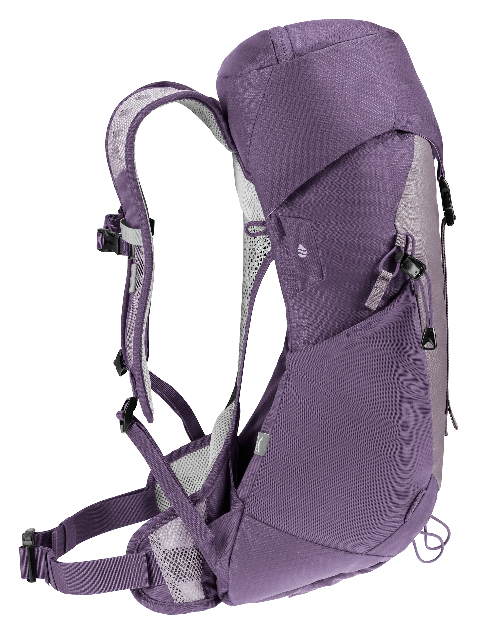 Lavender Purple