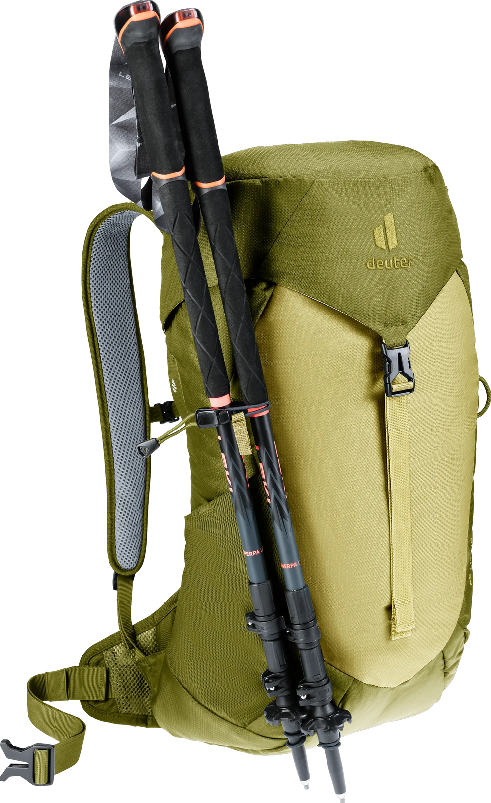 Linden Cactus