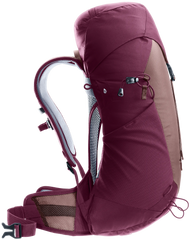 Ashrose Cassis