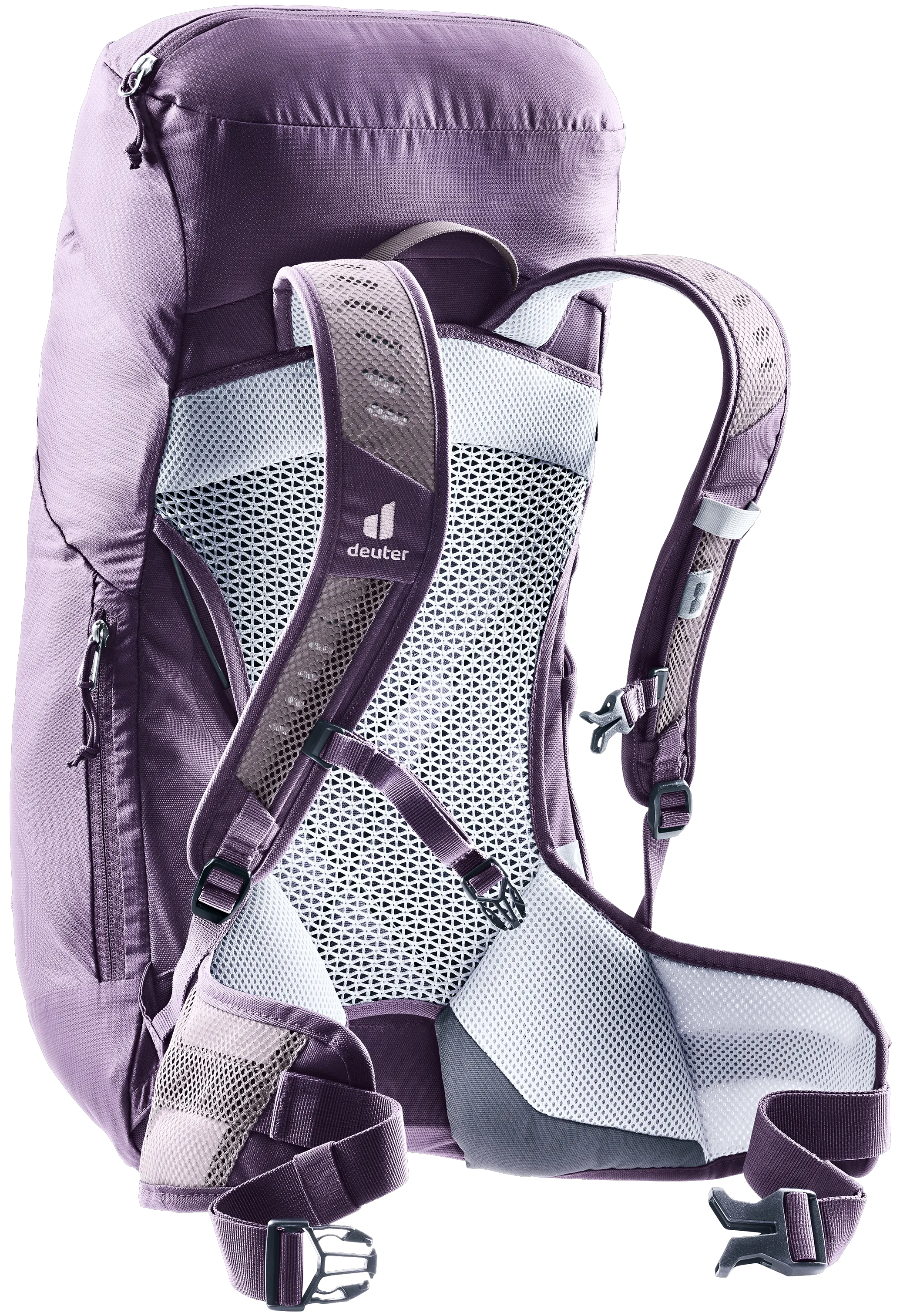 Lavender Purple