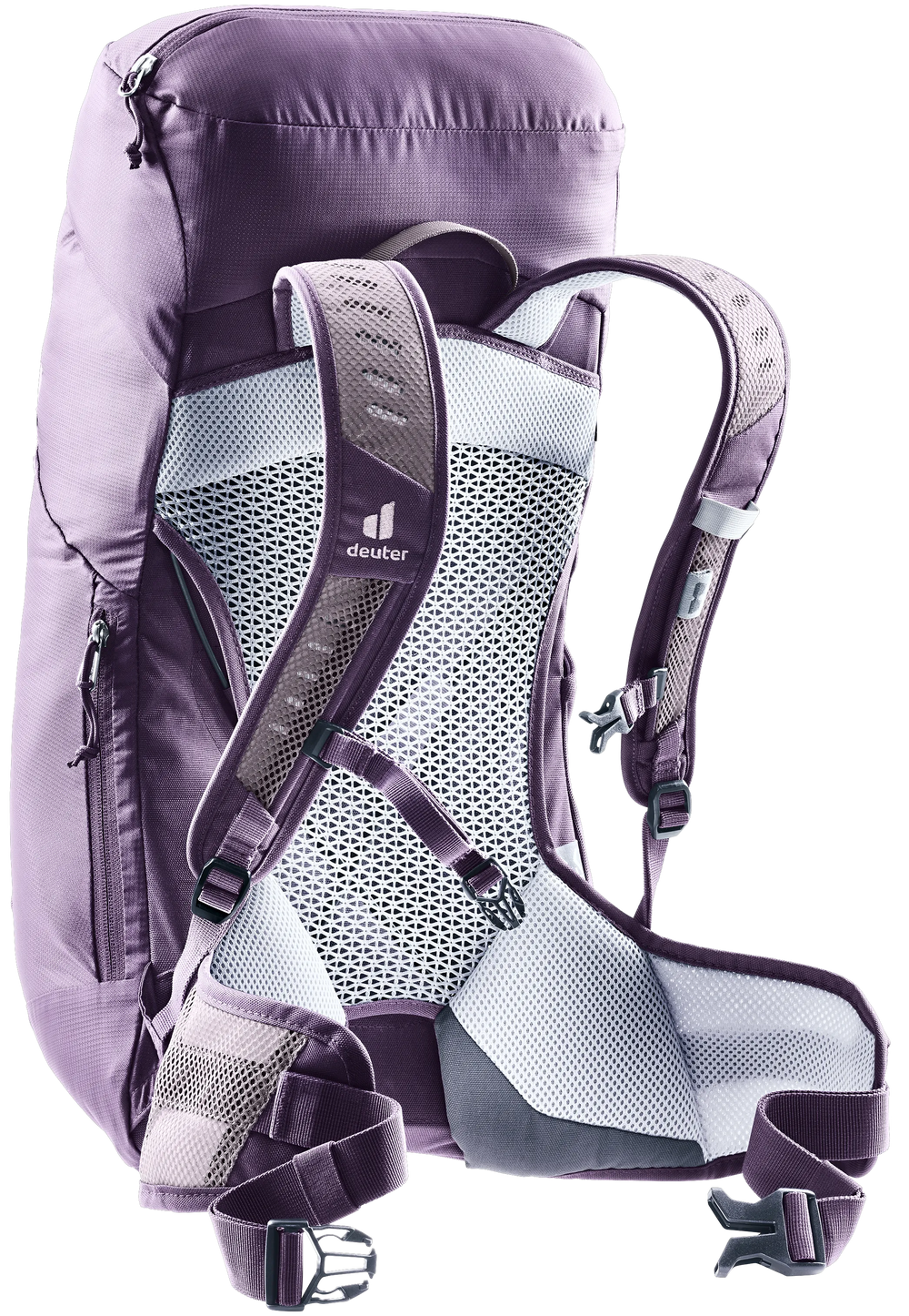 Lavender Purple