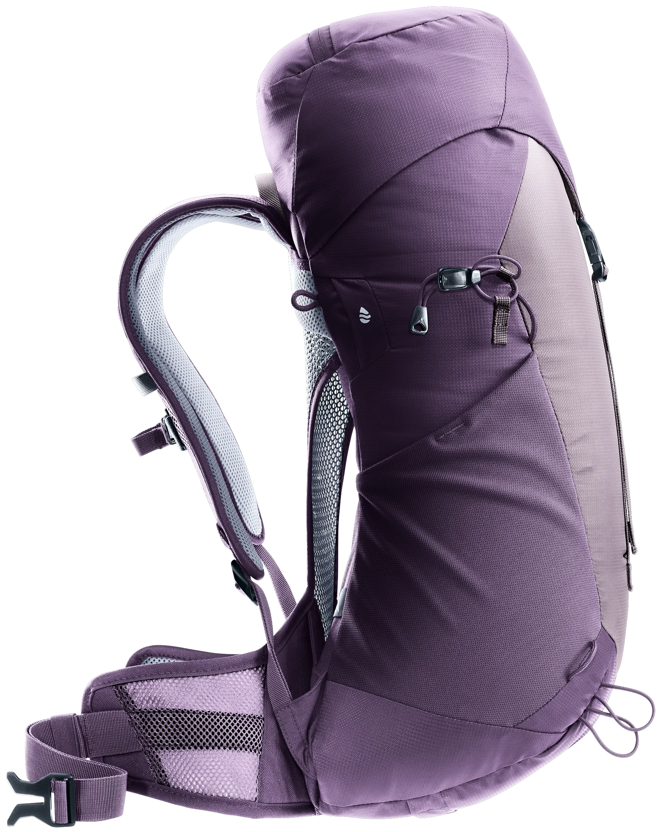 Lavender Purple