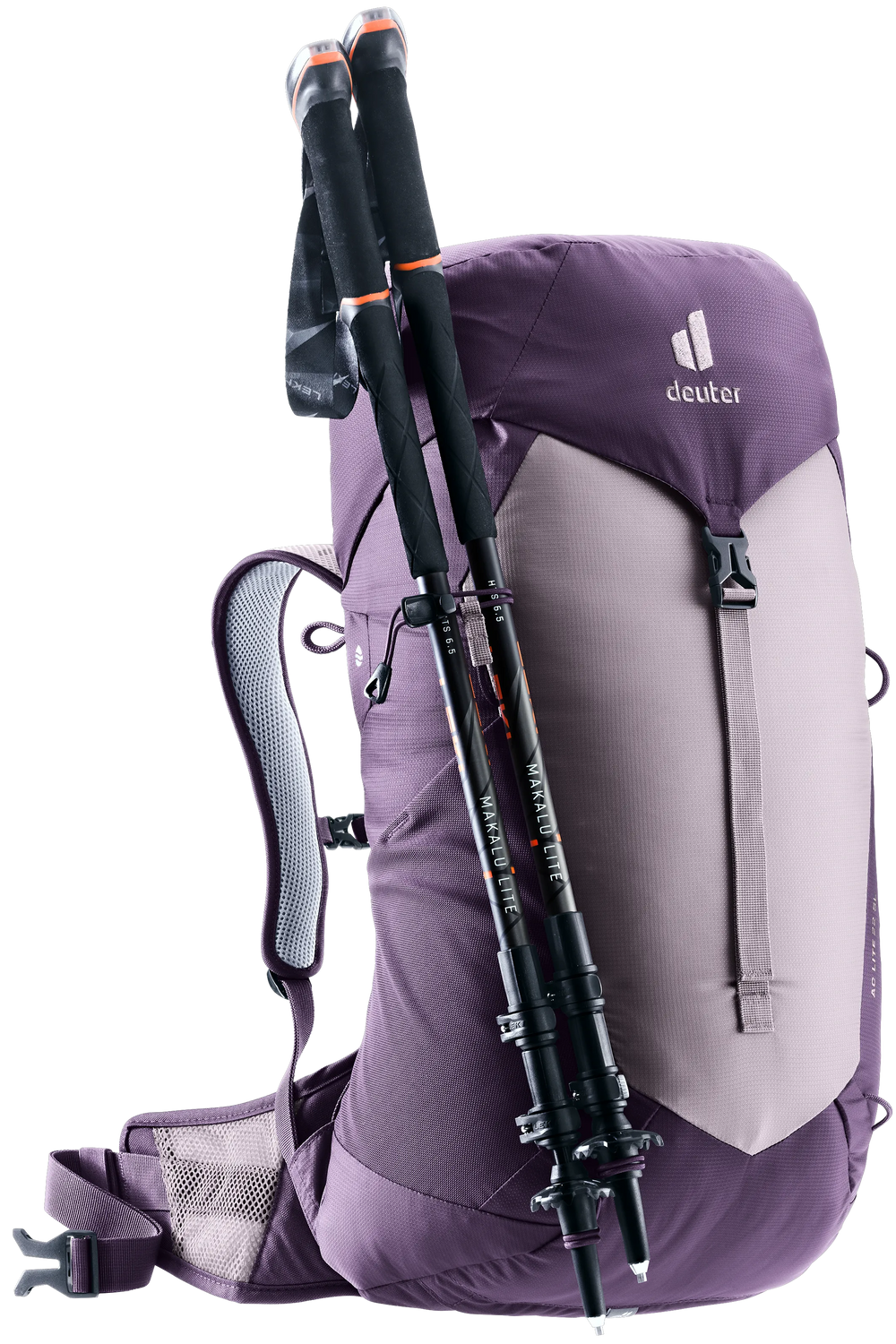 Lavender Purple
