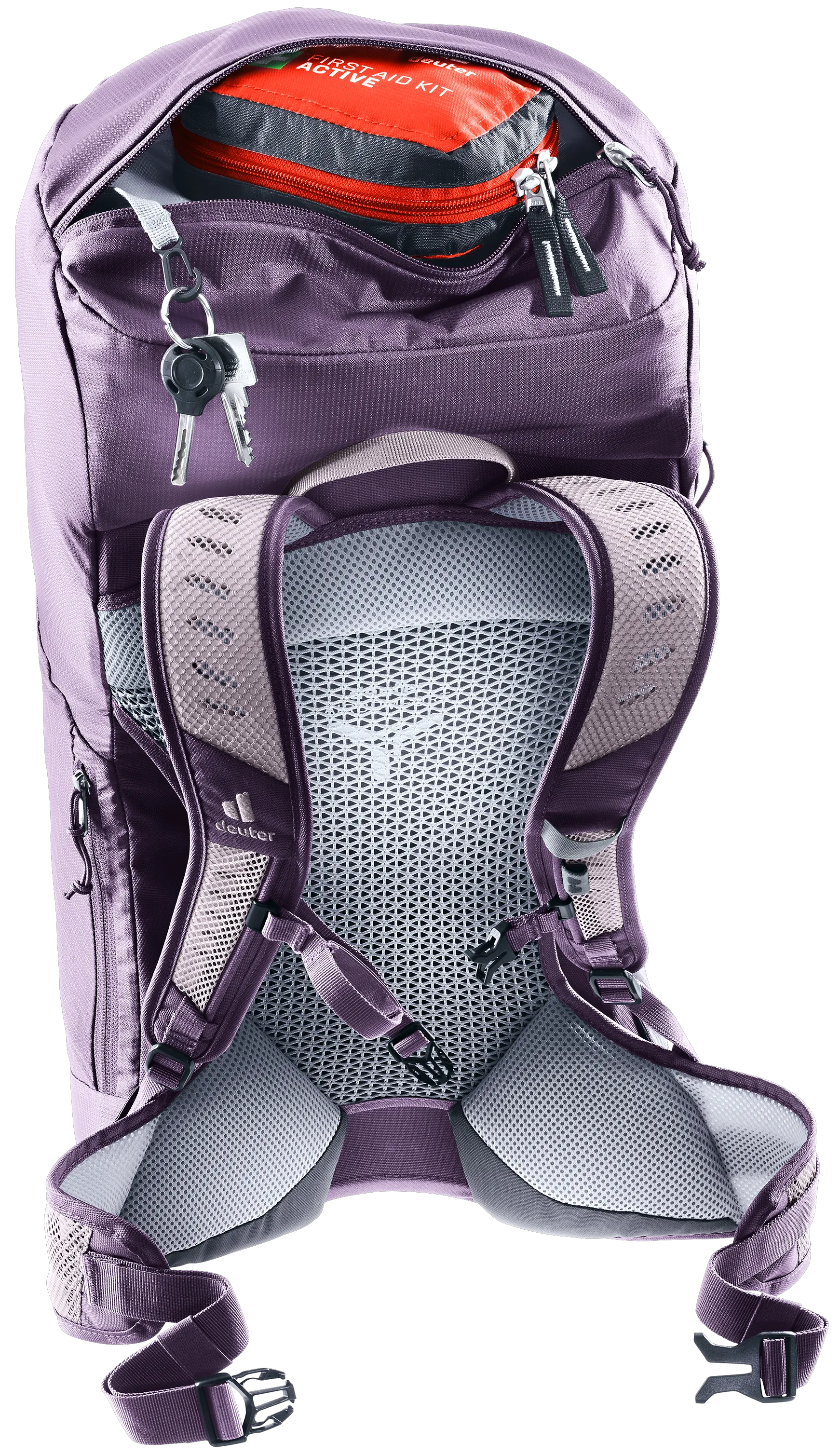 Lavender Purple