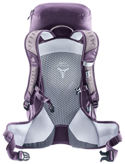 Lavender Purple