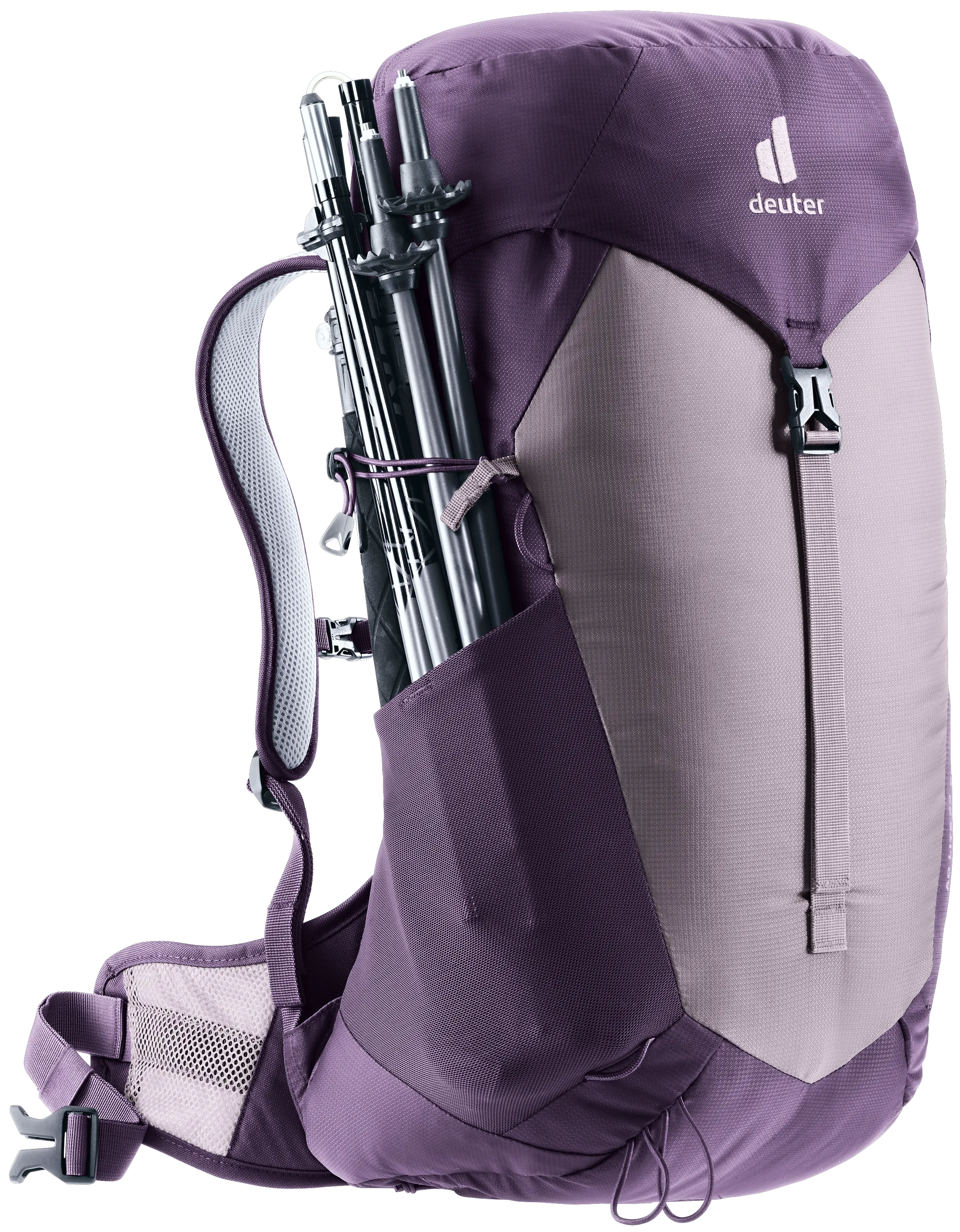 Lavender Purple