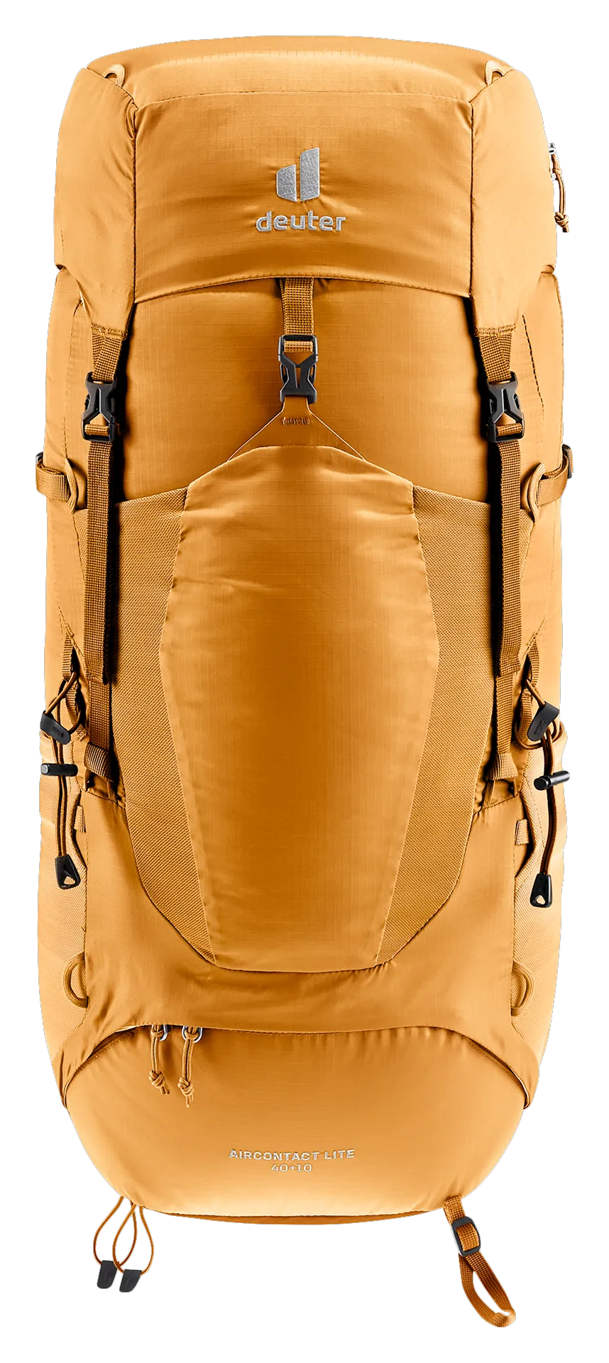 Amber Maple