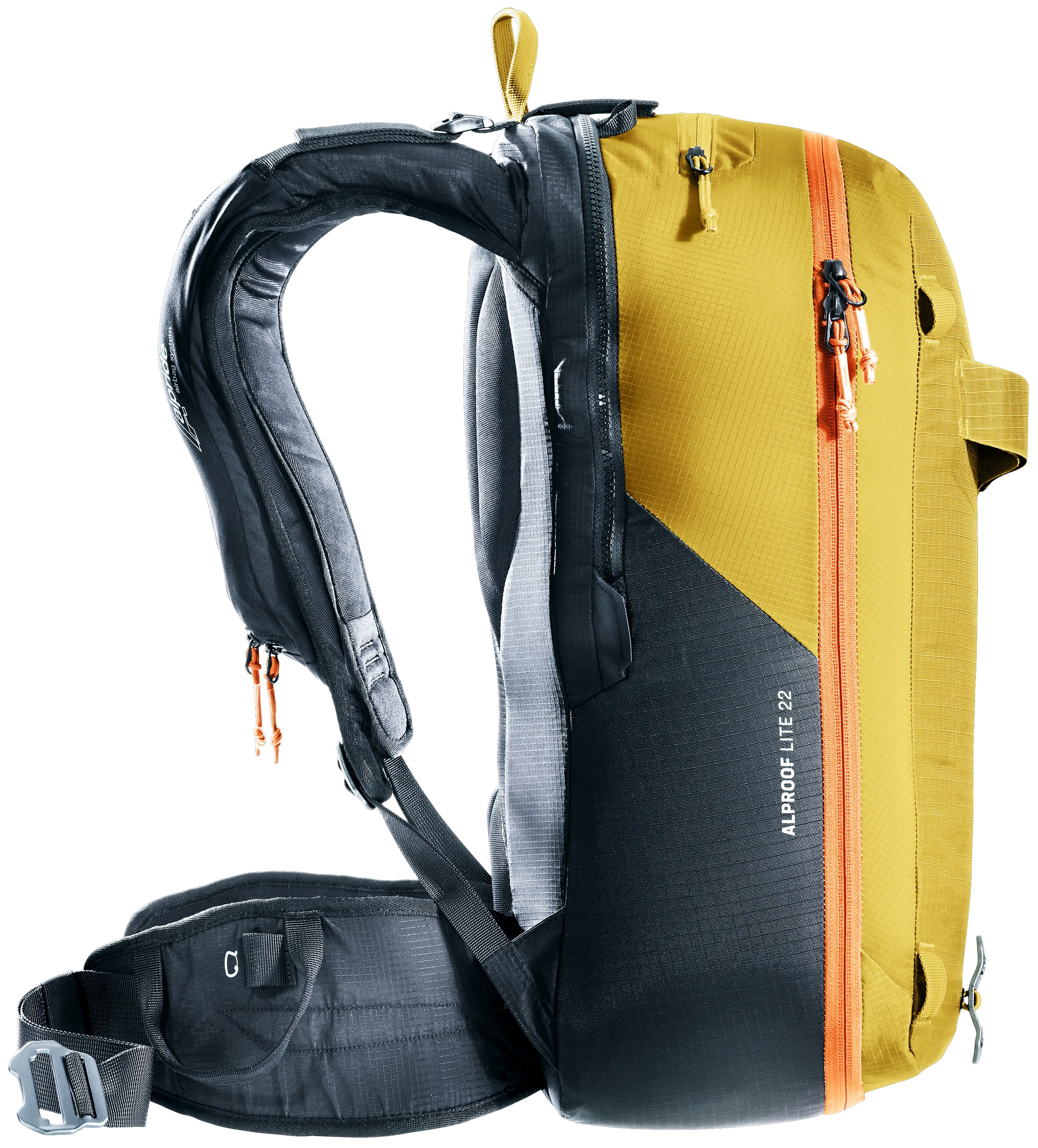 Turmeric Black