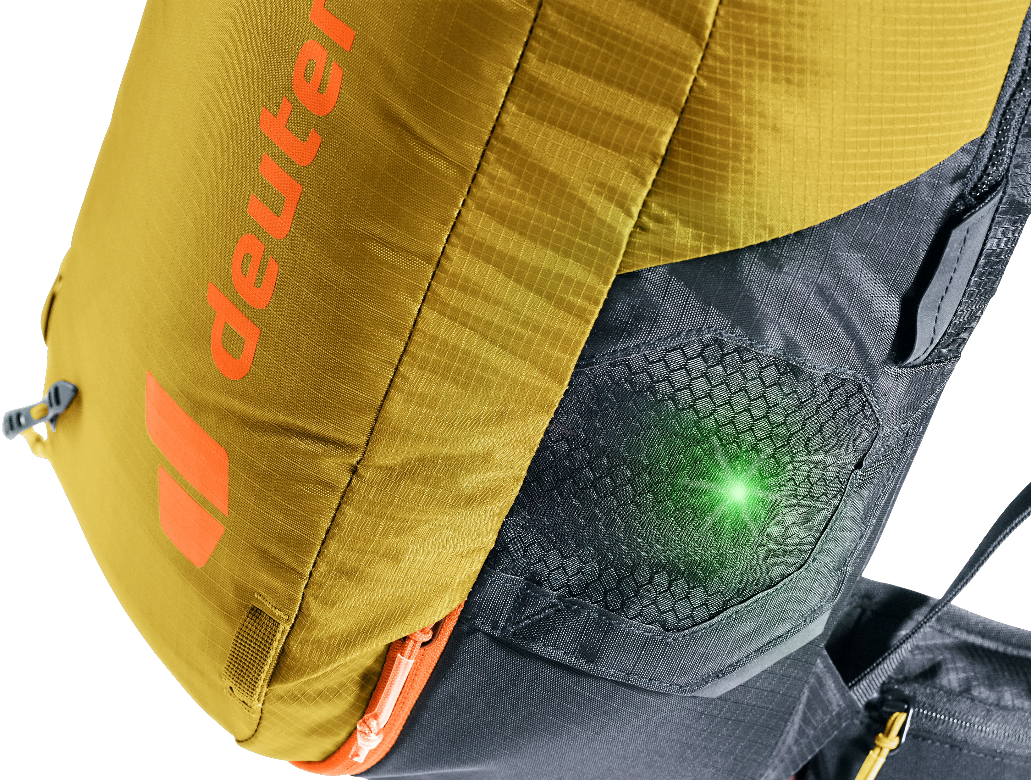Turmeric Black