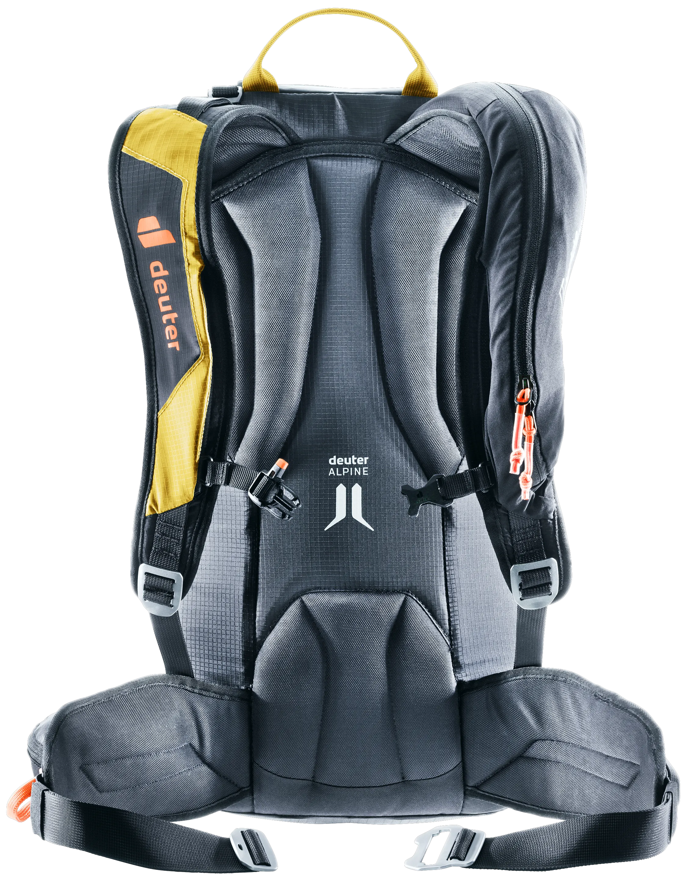Turmeric Black