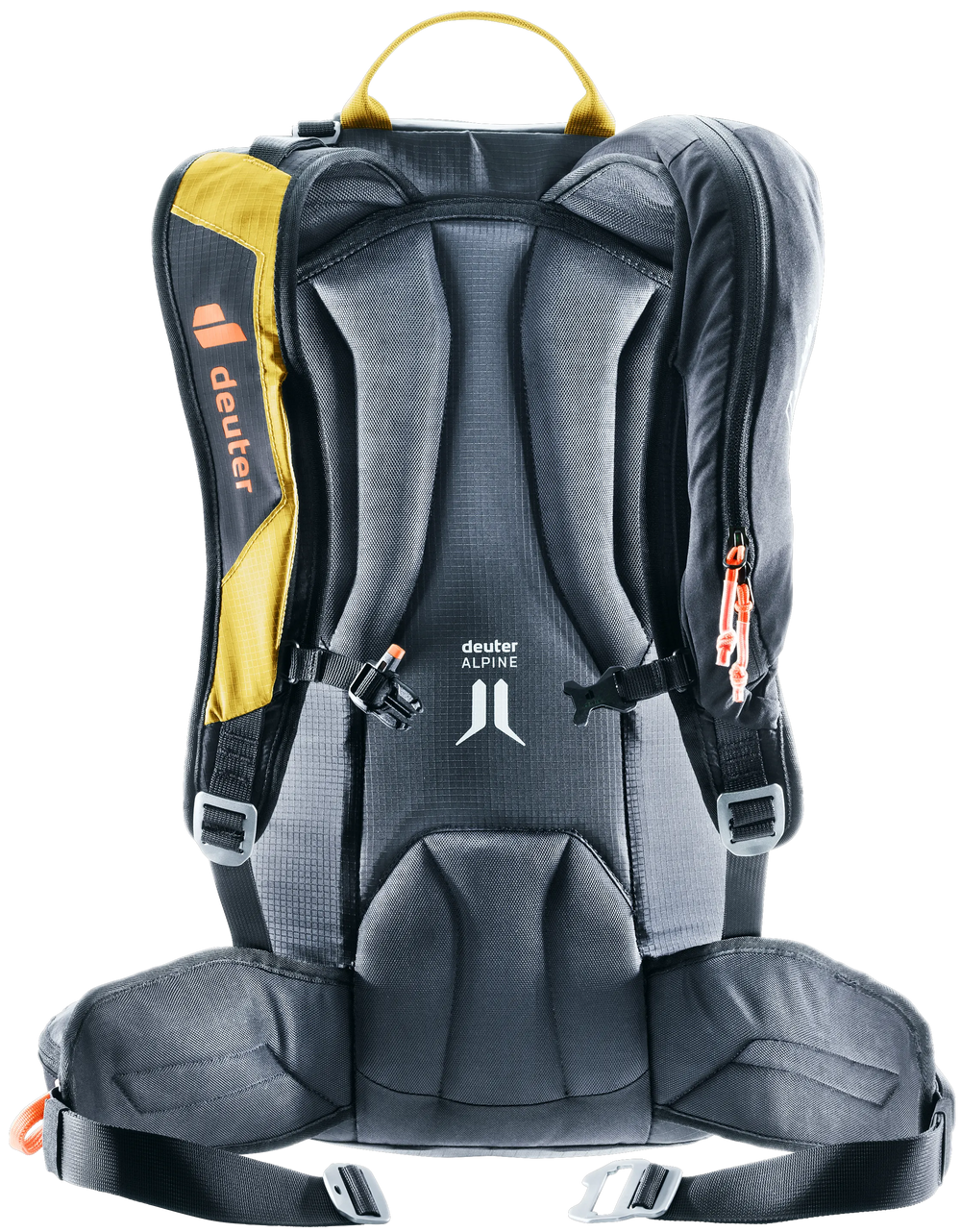 Turmeric Black