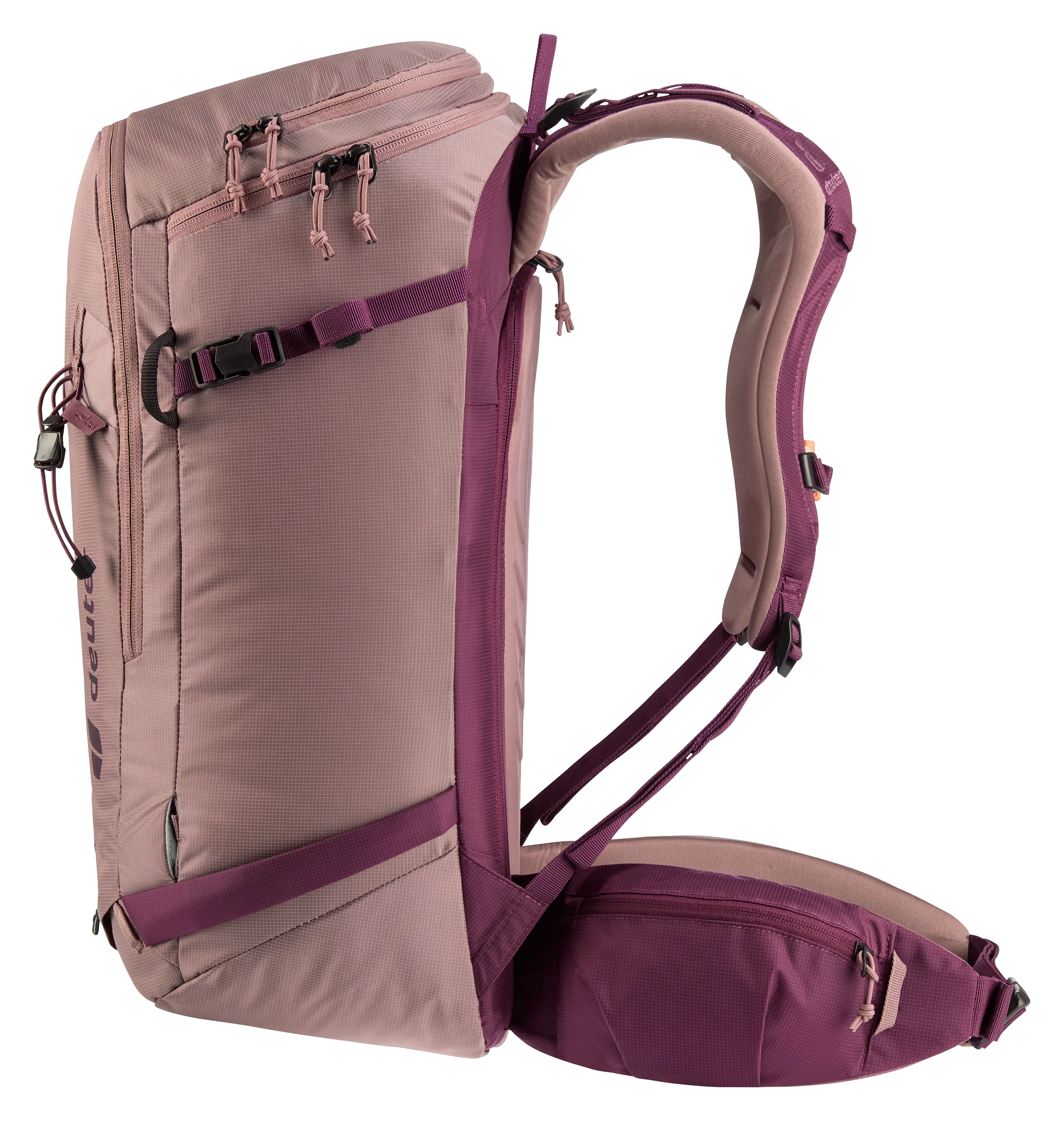 Ashrose Cassis