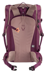 Ashrose Cassis