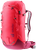 Hibiscus Ruby