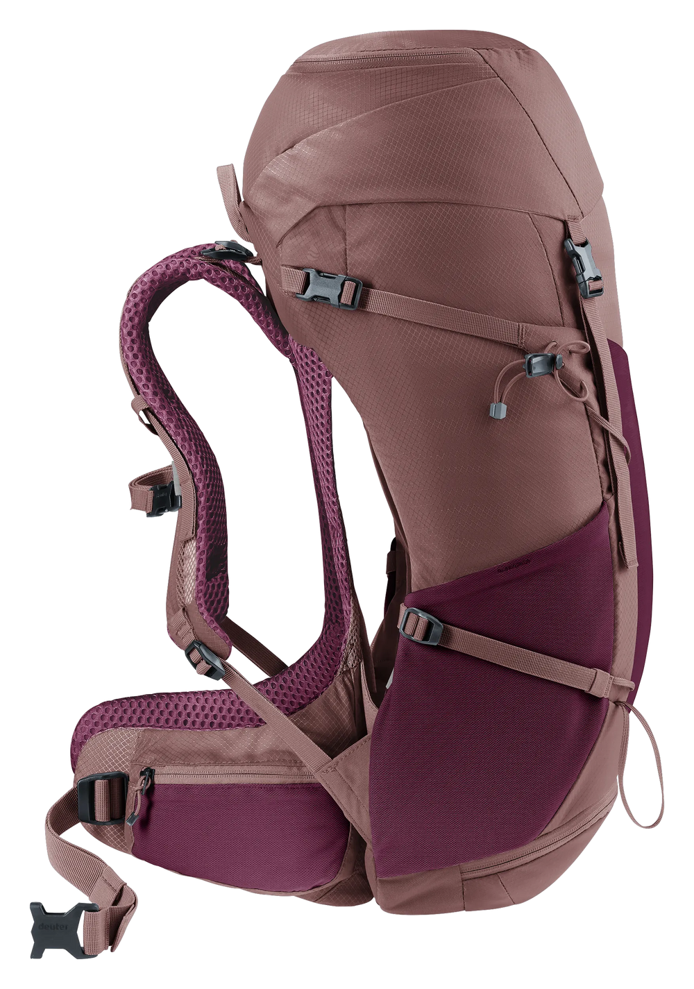 Cassis Ashrose