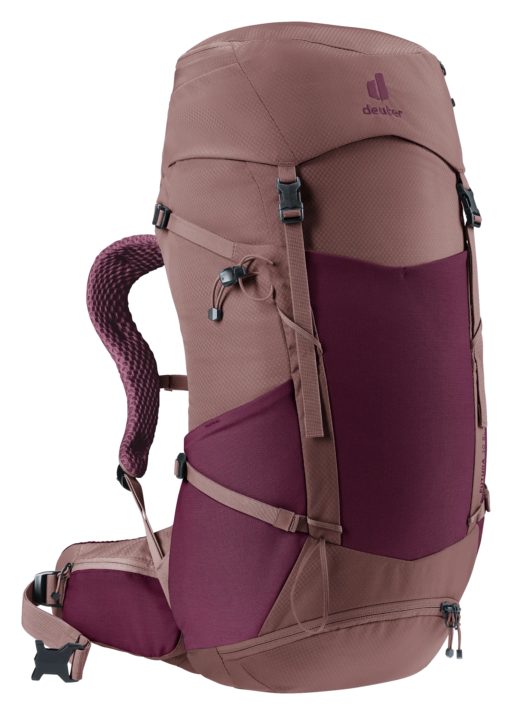 Cassis Ashrose