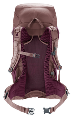 Cassis Ashrose