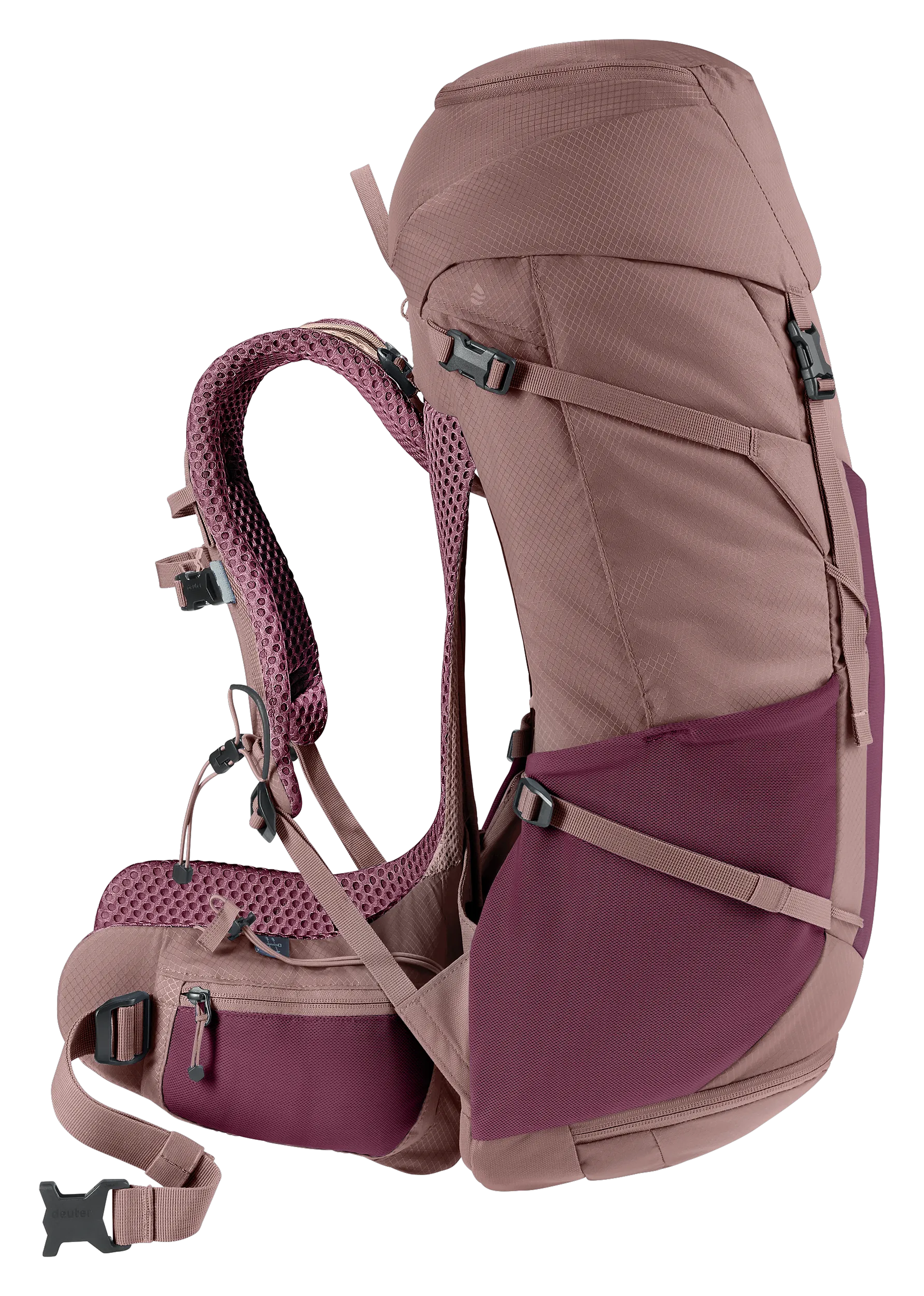 Cassis Ashrose
