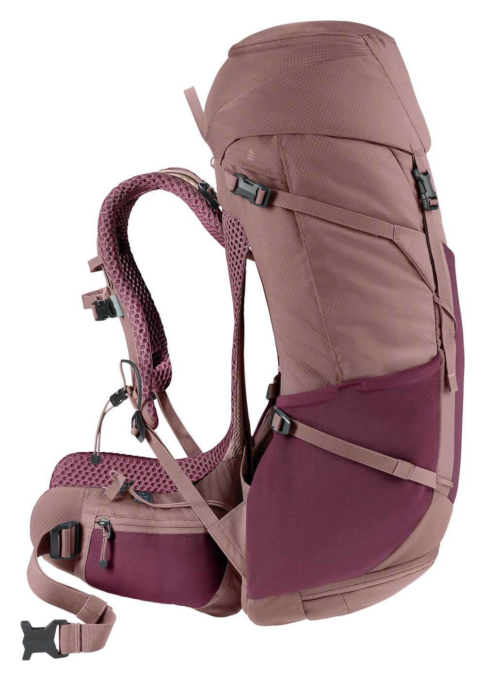Cassis Ashrose