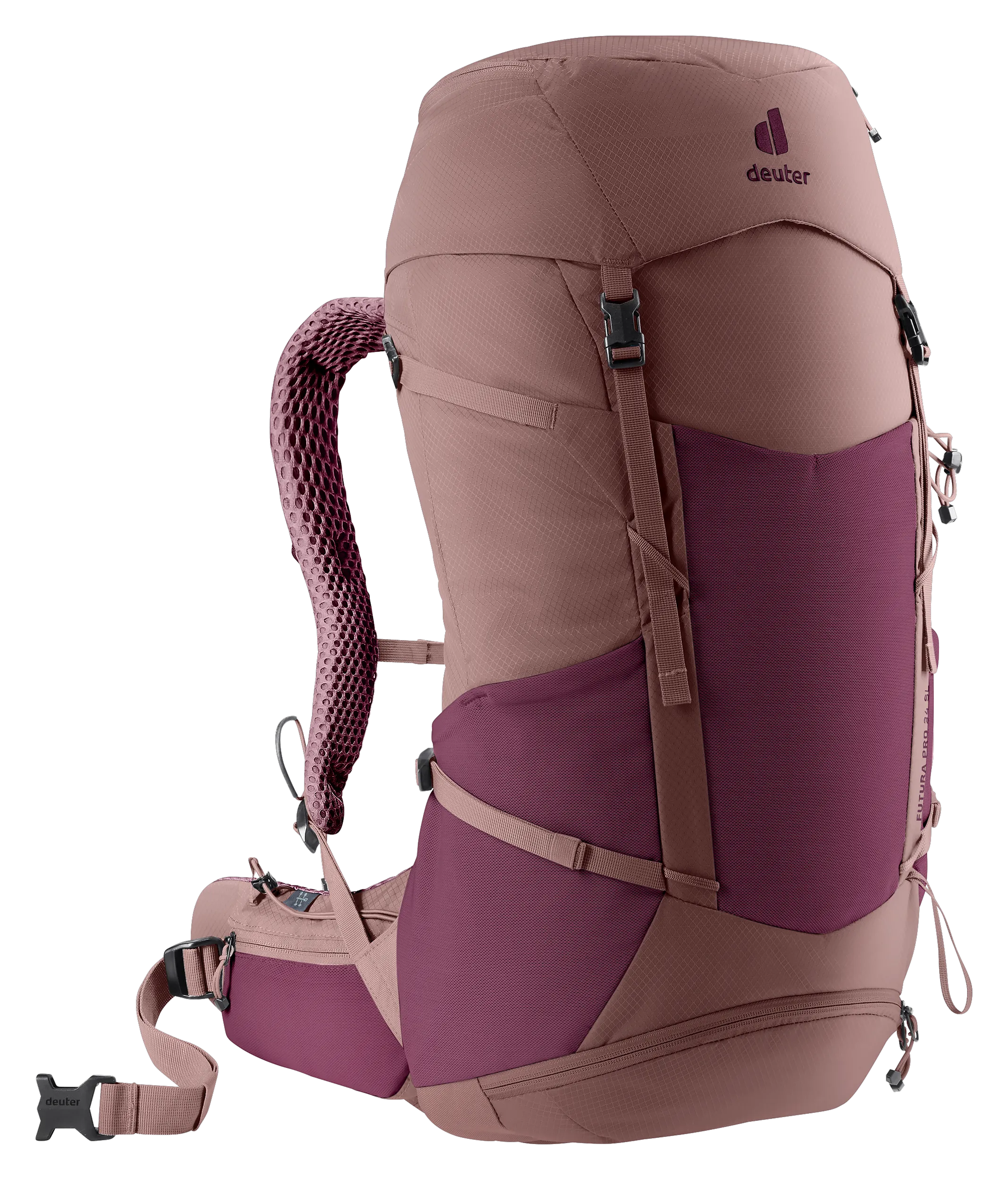 Cassis Ashrose