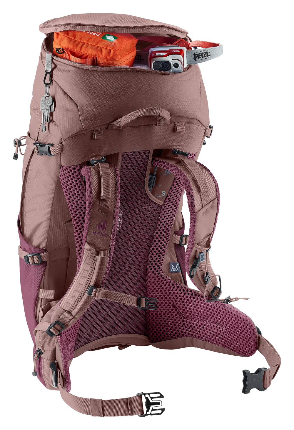 Cassis Ashrose