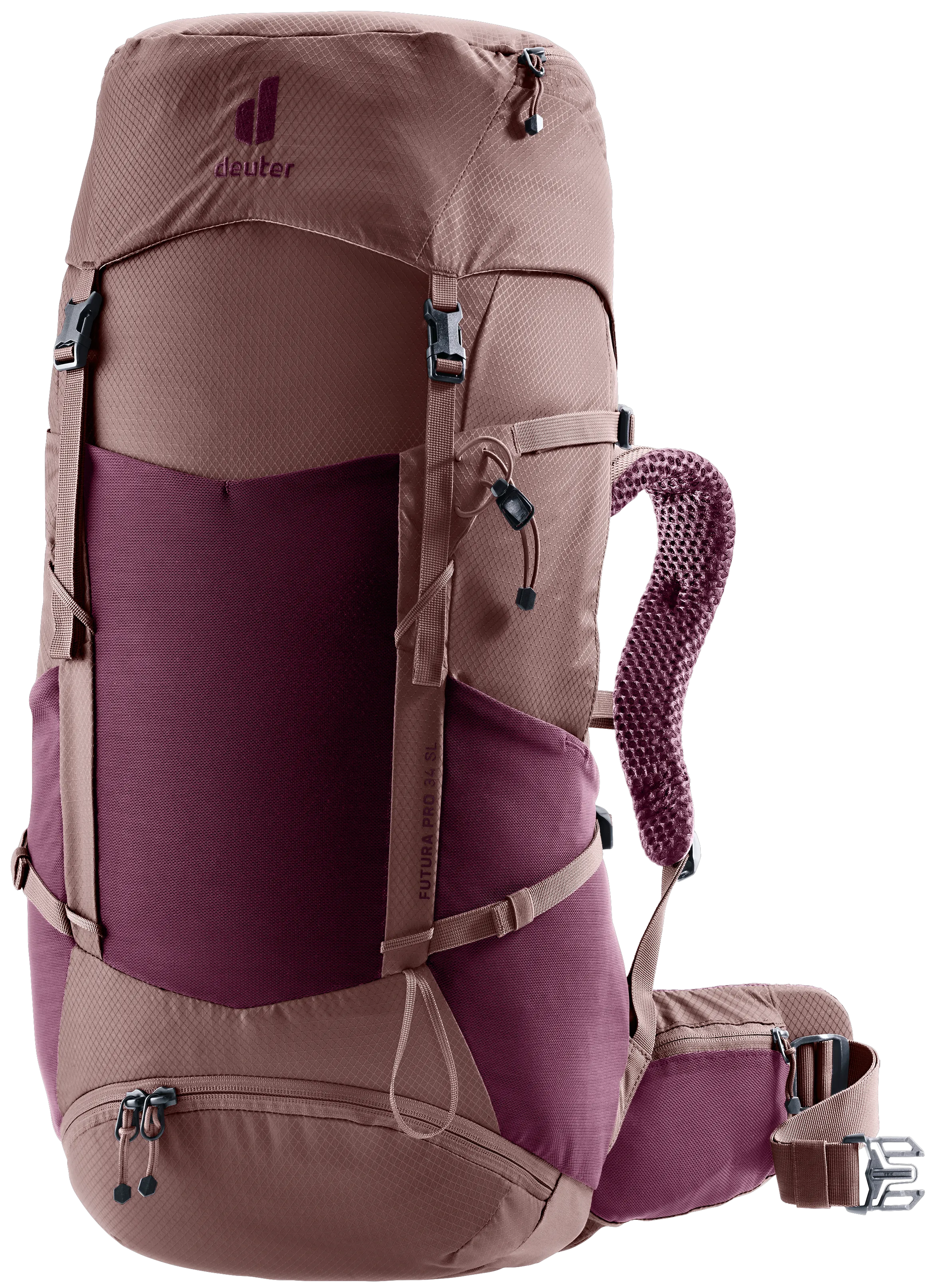 Cassis Ashrose
