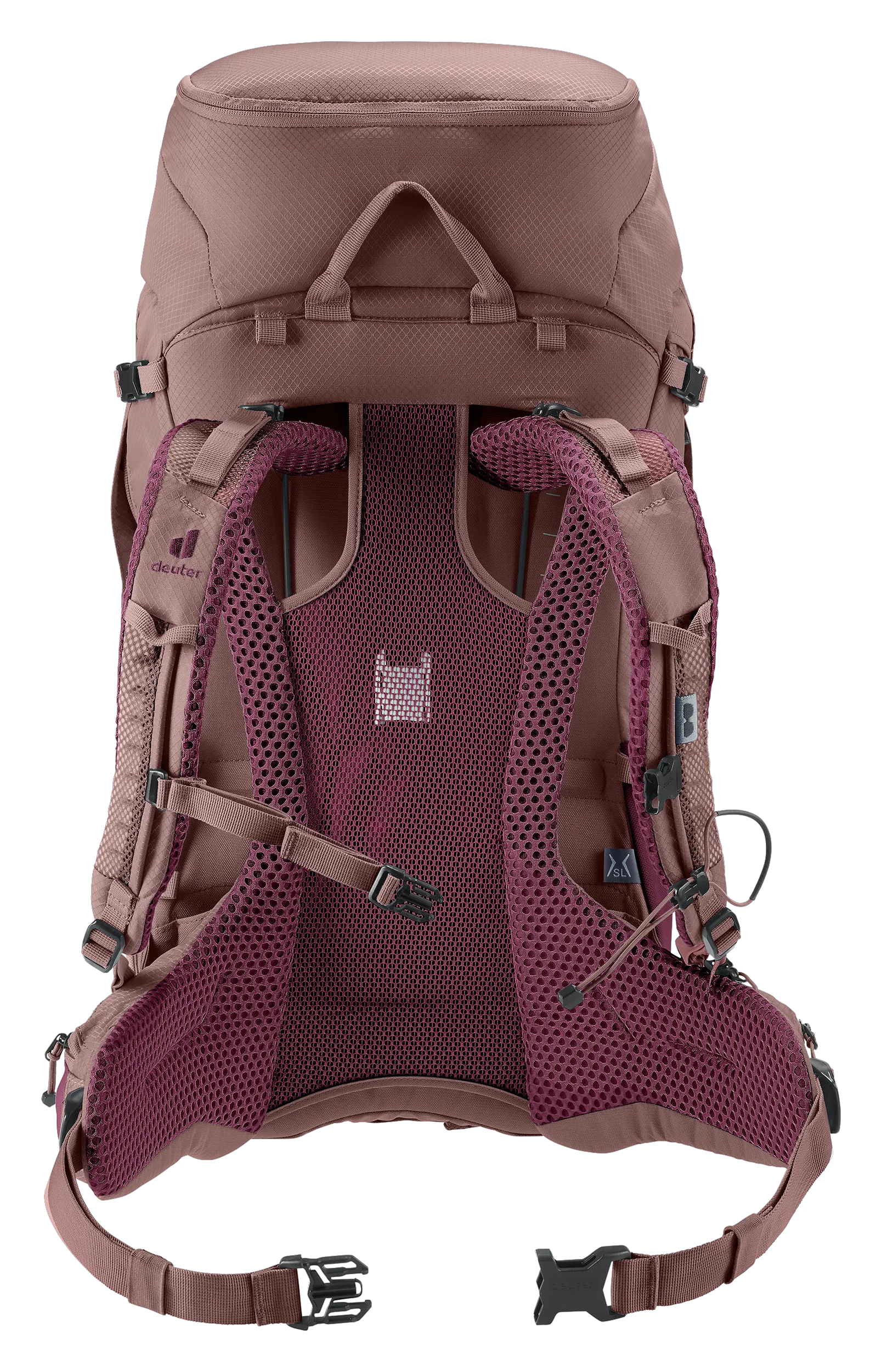 Cassis Ashrose