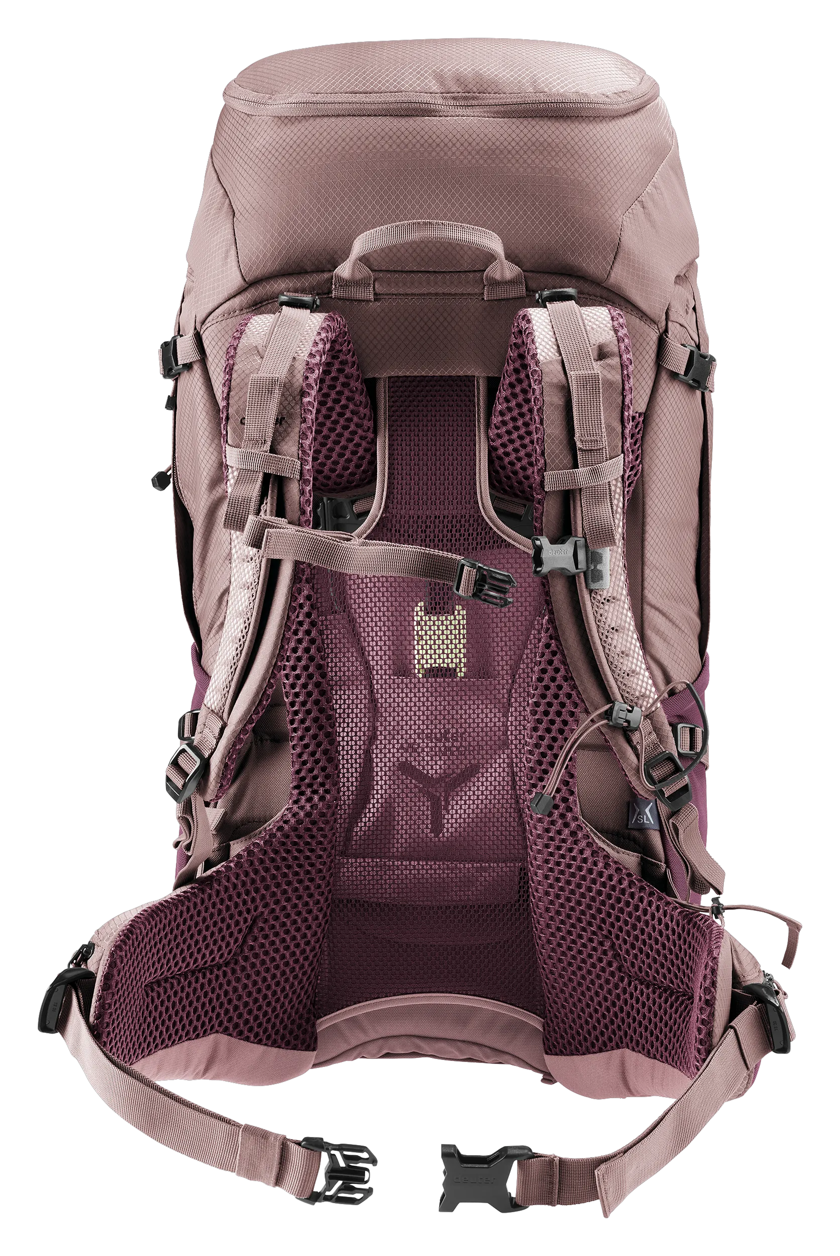Cassis Ashrose