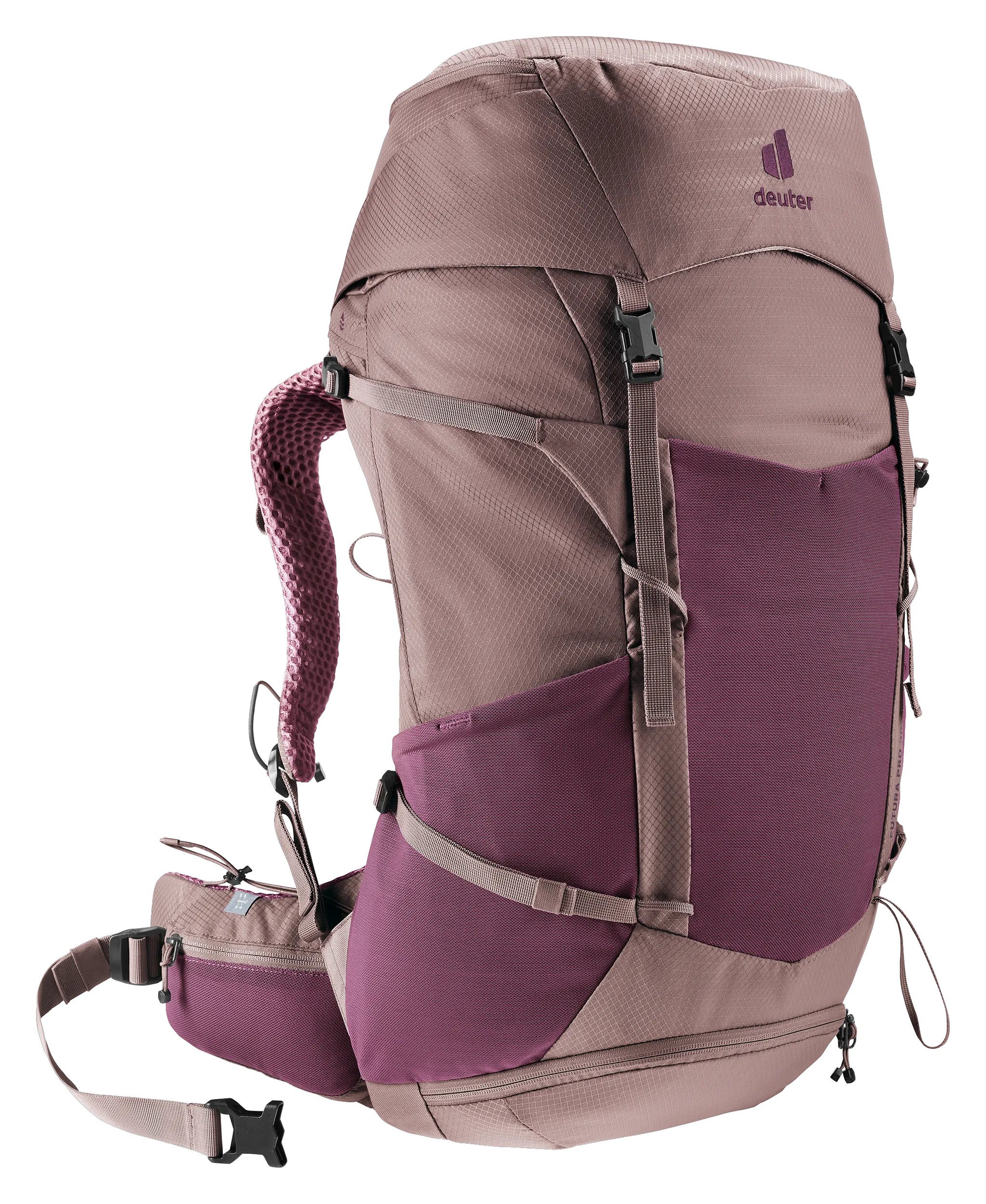 Cassis Ashrose