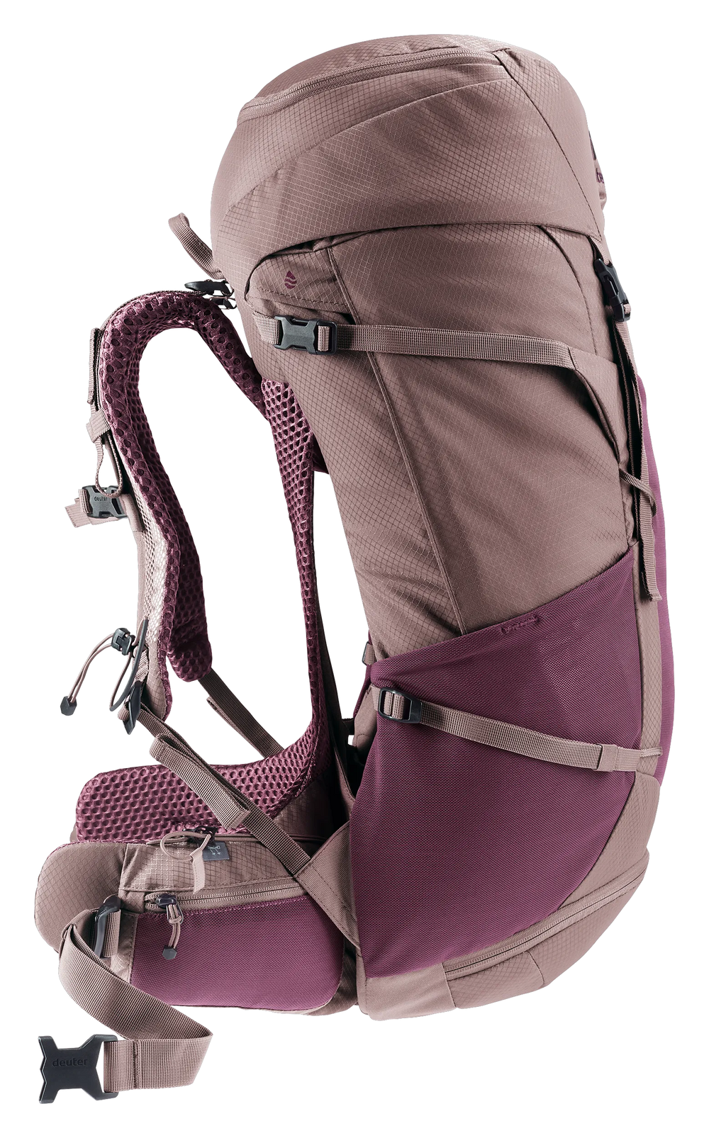 Cassis Ashrose
