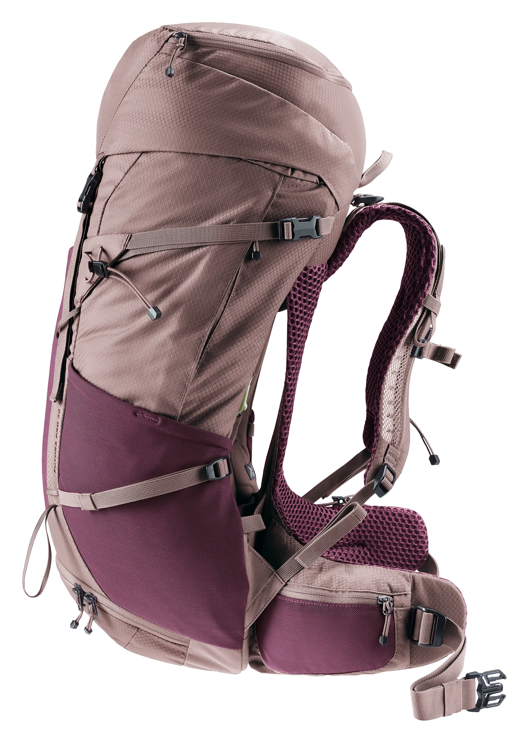 Cassis Ashrose