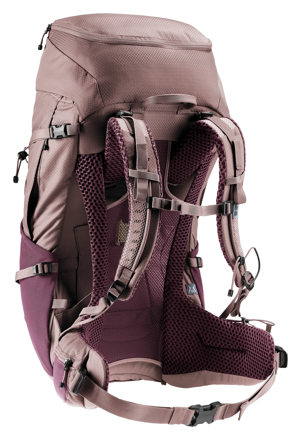 Cassis Ashrose