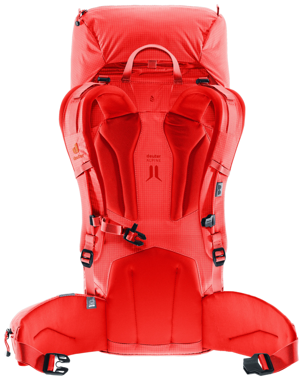 Poppy Crimson