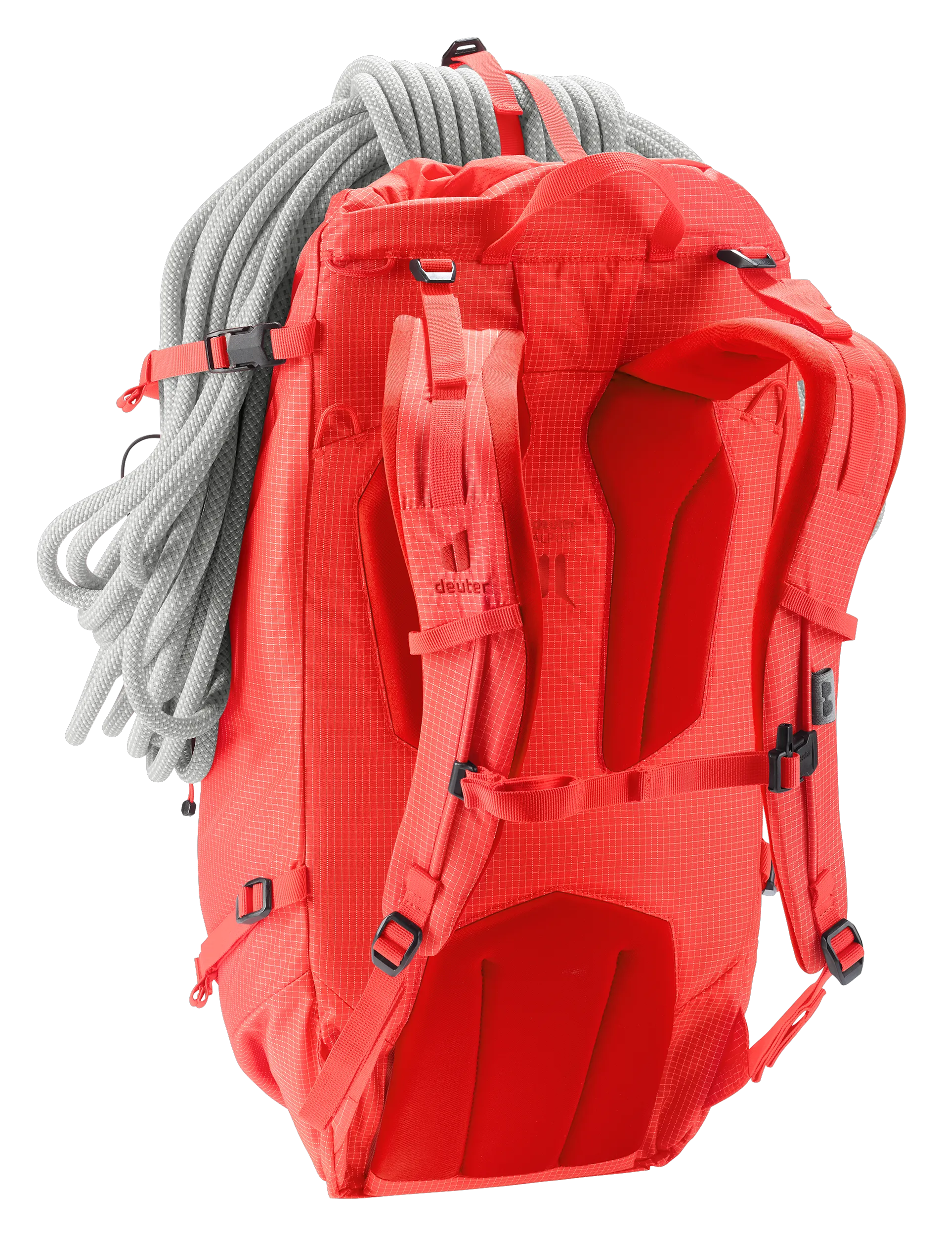 Poppy Crimson