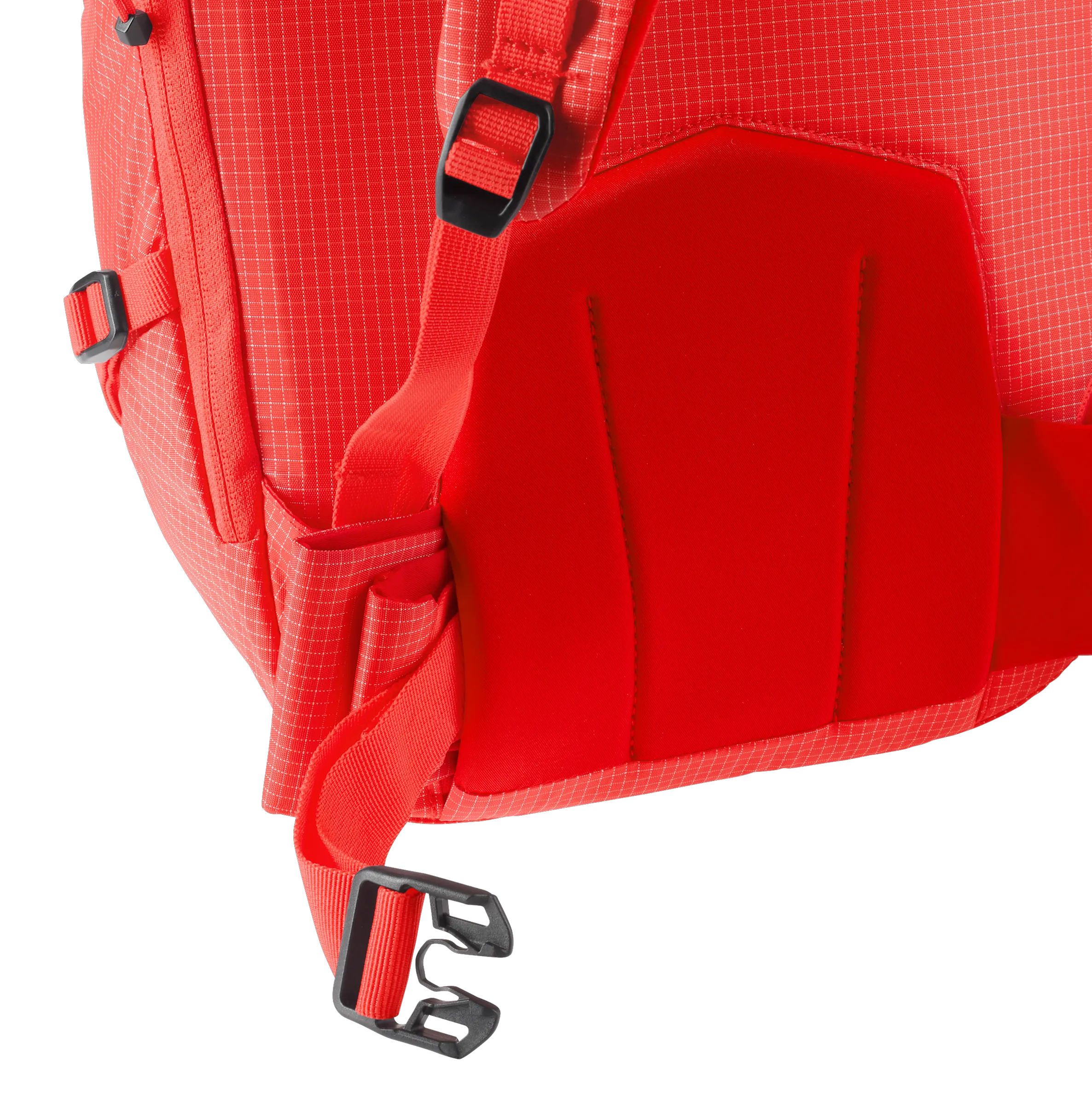 Poppy Crimson