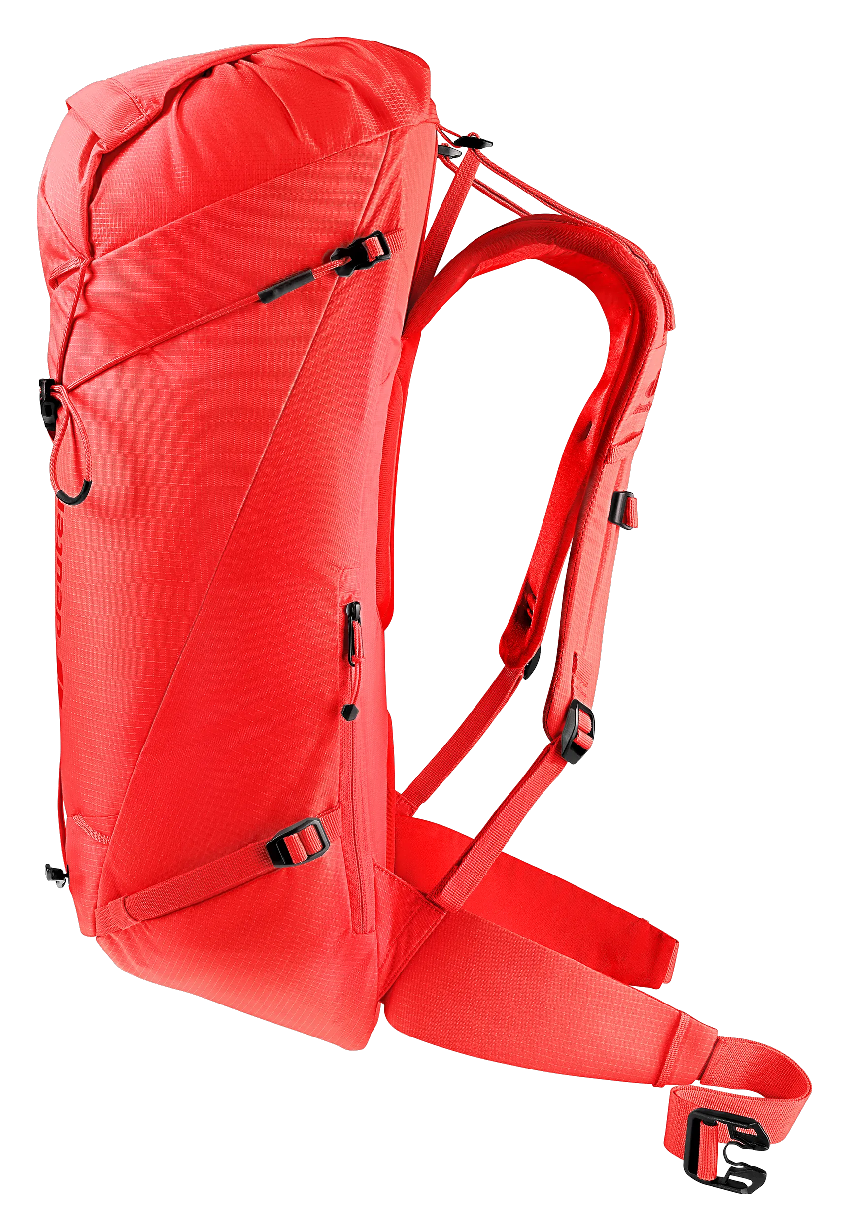 Poppy Crimson