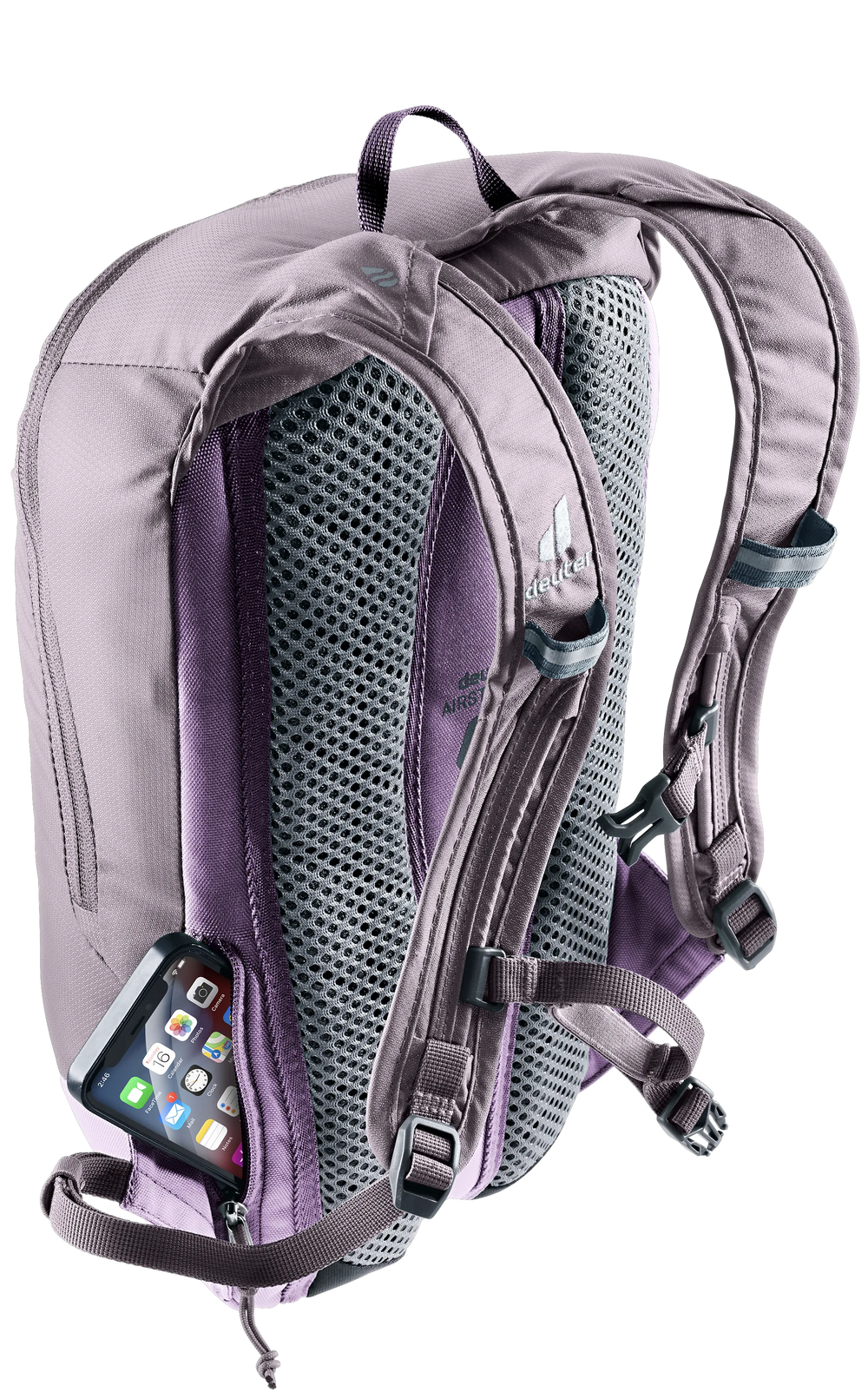Lavender Purple