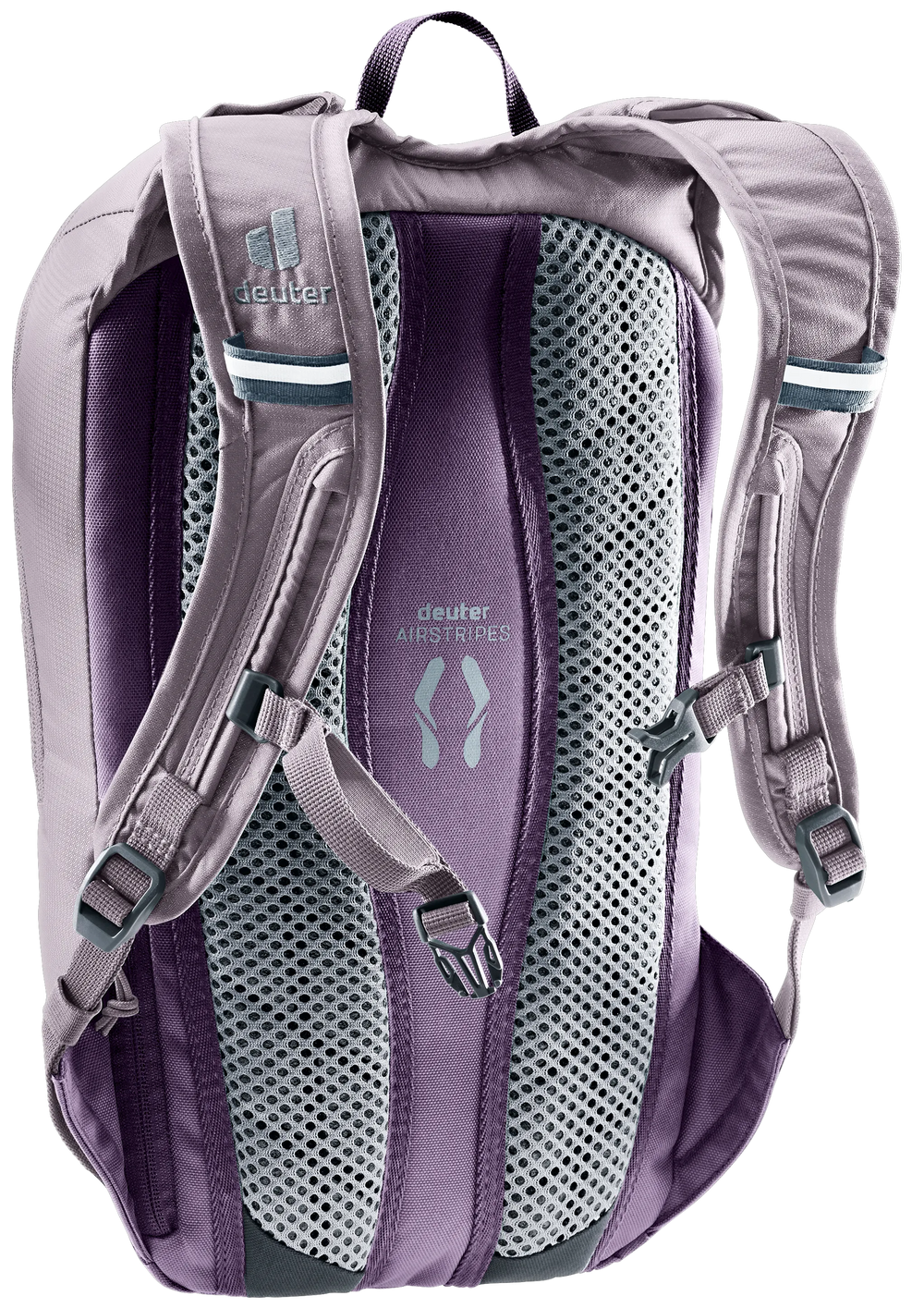 Lavender Purple