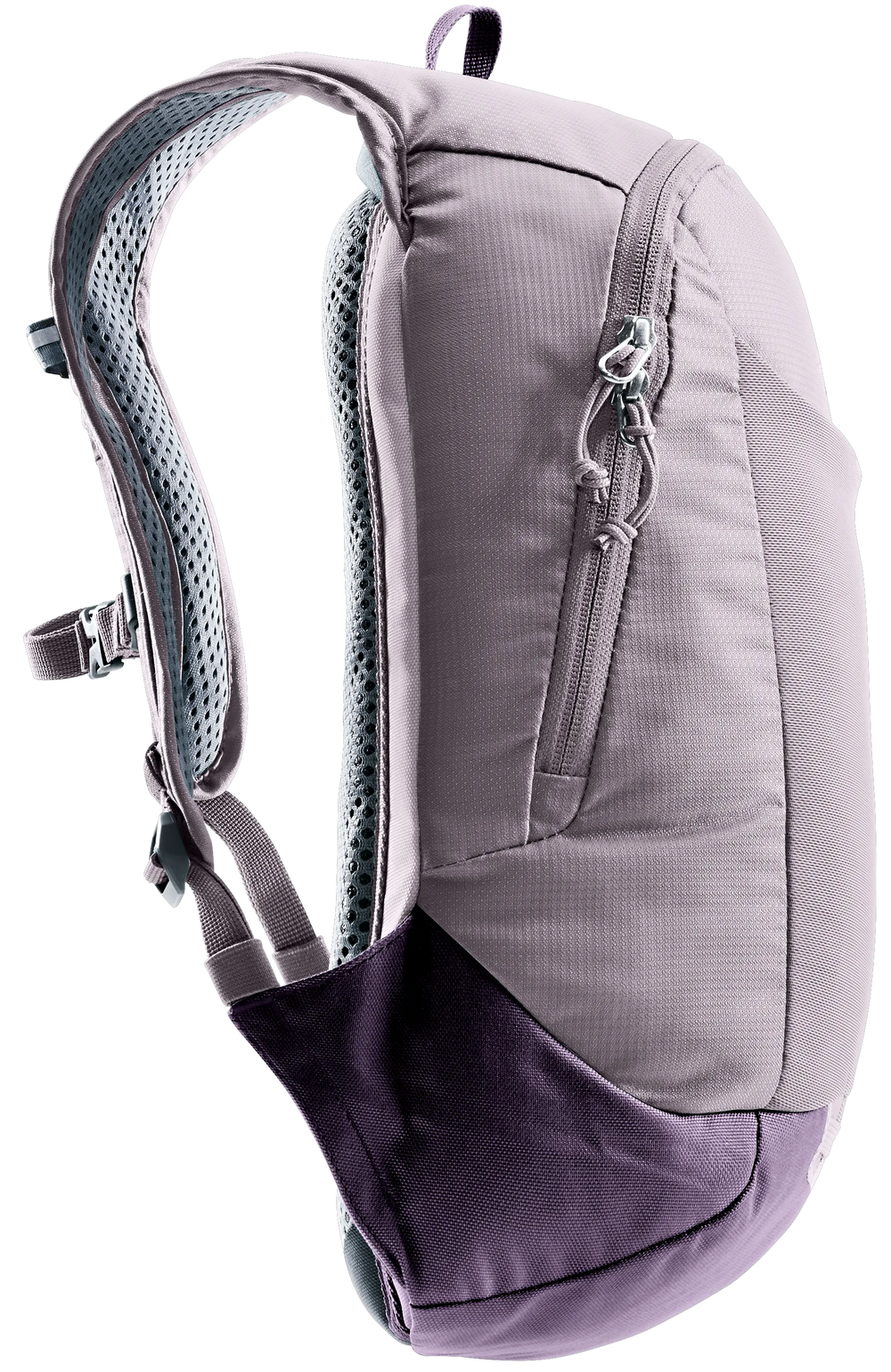 Lavender Purple