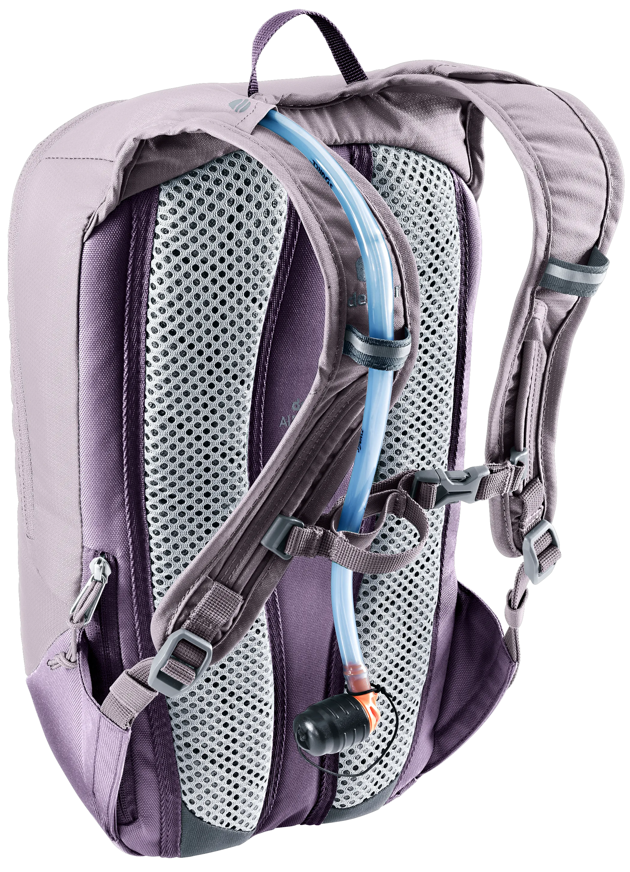 Lavender Purple