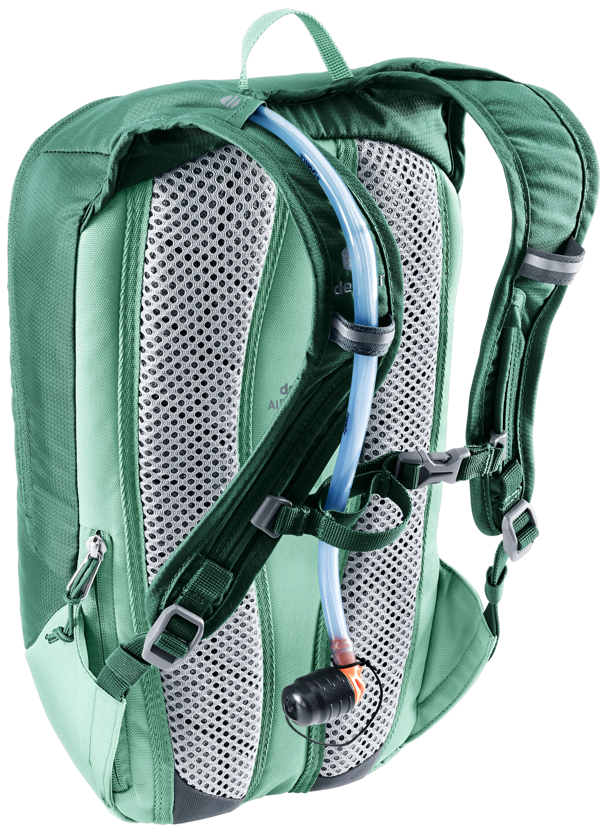 Seagreen Spearmint