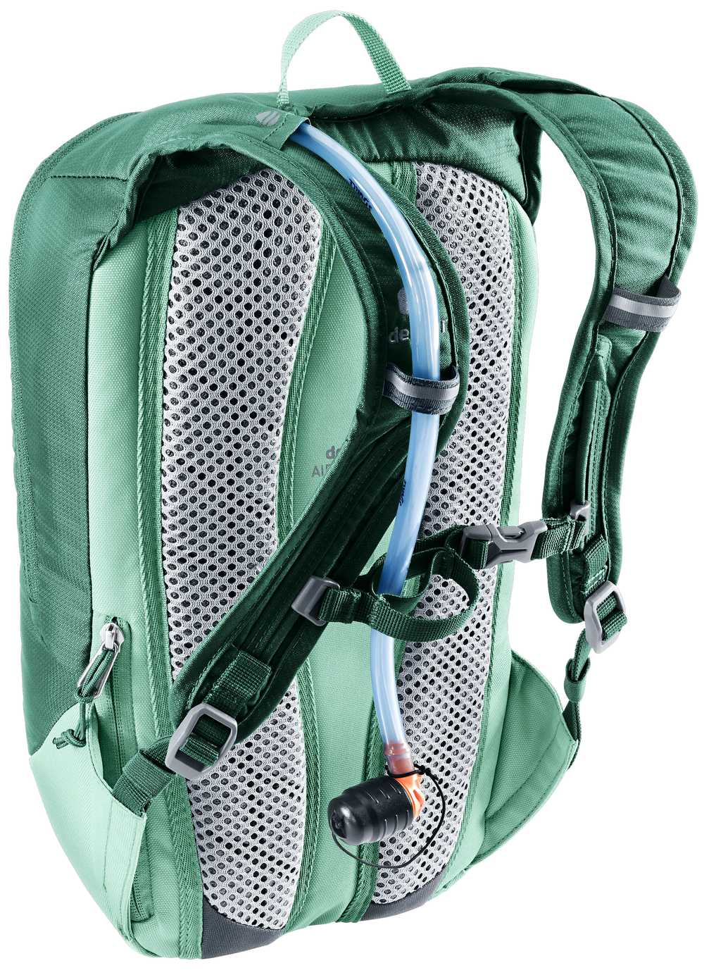 Seagreen Spearmint